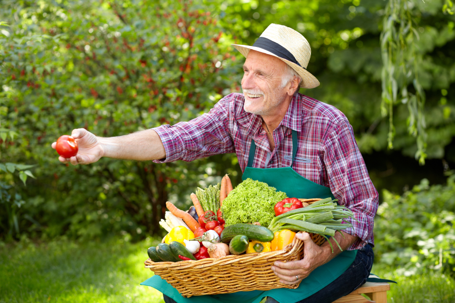 alzheimer au jardin therapeutique